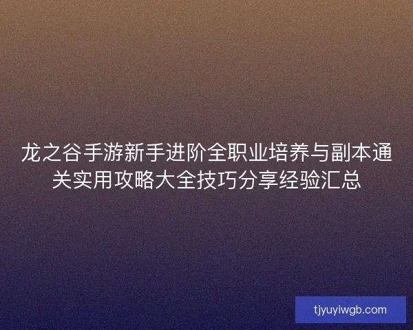 龙之谷手游新手进阶全职业培养与副本通关实用攻略大全技巧分享经验汇总