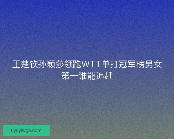 王楚钦孙颖莎领跑WTT单打冠军榜男女第一谁能追赶